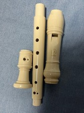 YAMAHSopraRecorder Case