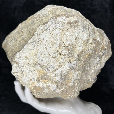 Quartz Rattler 8