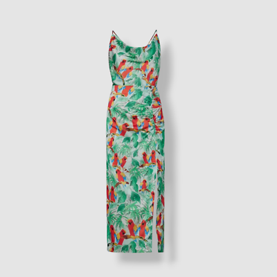 green parrot dress Parrot Dress