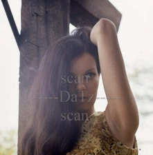 1960s Transparency-sexy brunette pinup girl Jane MacRae-cheesecake t932186