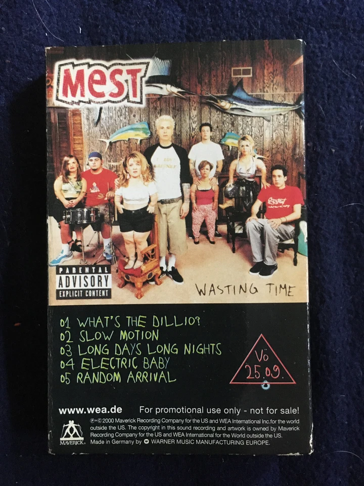 Green Day Warning Mest Wasting Time WEA VÖ: 02.10 Cassette
