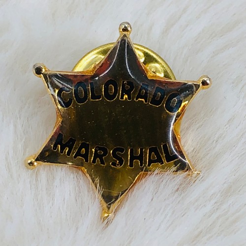 Insignia prendedor solapa estrella dorada recuerdo mariscal del estado de Colorado 6 puntos - Imagen 1 de 3