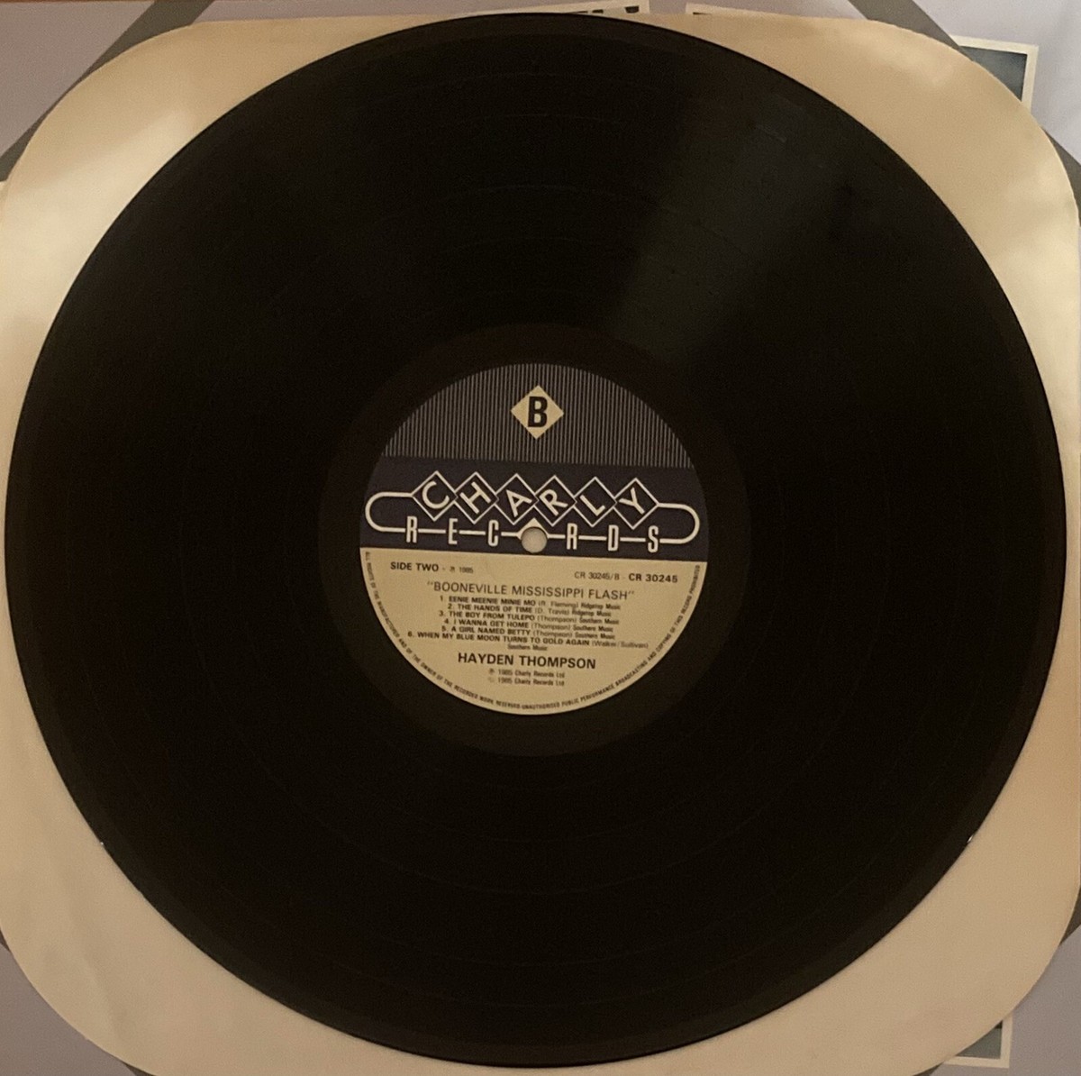 Booneville Mississippi Flash Hayden Thompson Vinyl LP Record 1985