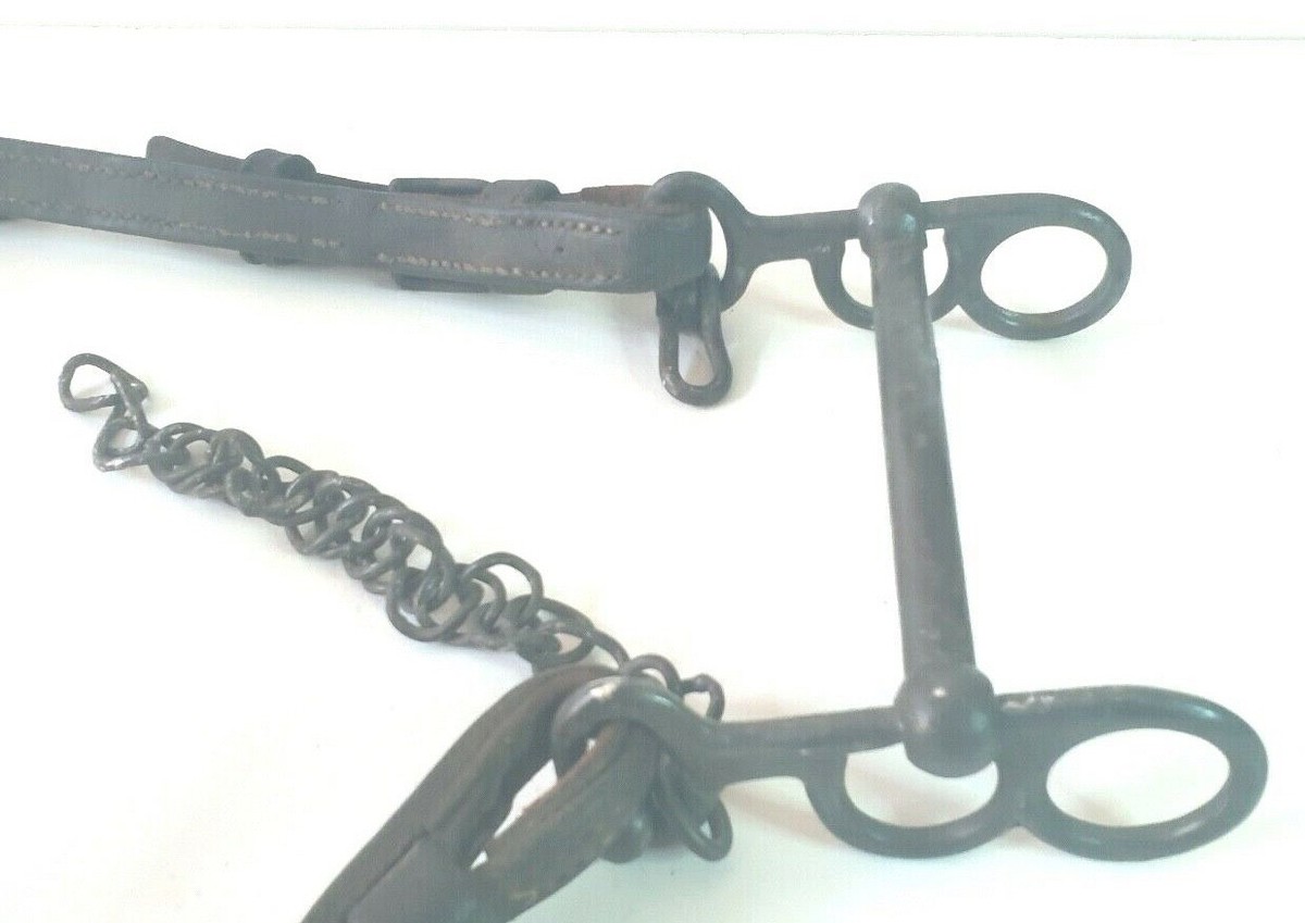 harnas brde et mors pour cheval (armée françase