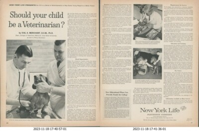 #ad #ad 1961 New York Life Should Your Child Be Veterinarian Ival Merchant Print Ad LO9 $10.64