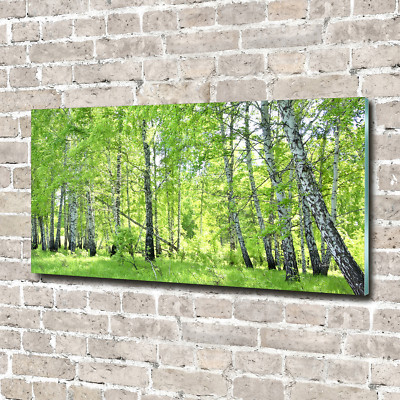 Glas-Bild Wandbilder Druck auf Glas 140x70 Deko Blumen & Pflanzen Birkenwald
