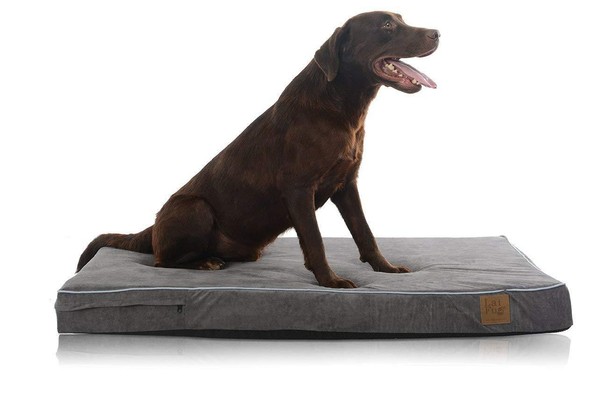 laifug dog bed