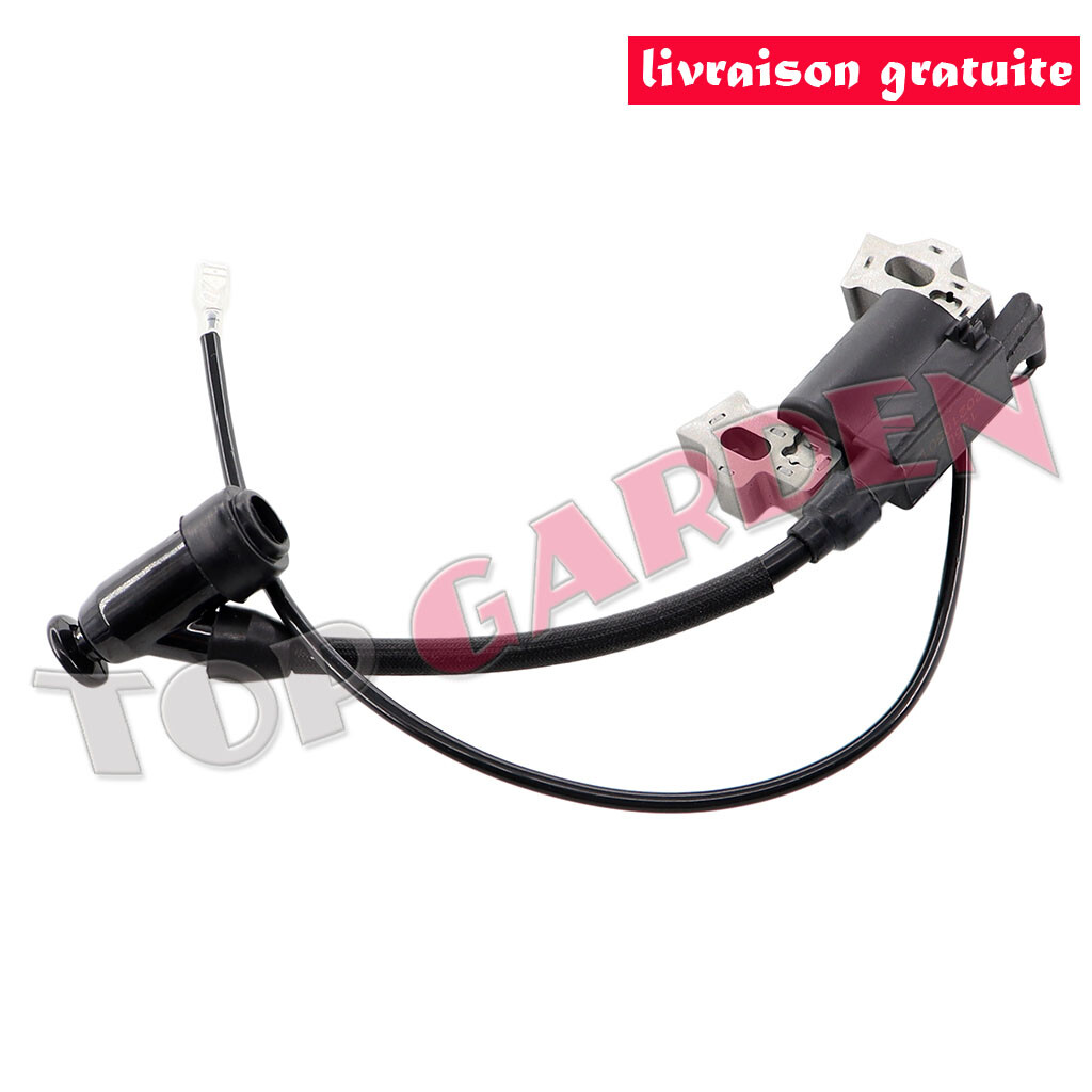 Bobine D'Allumage Pour Tondeuse Einhell Bg-Pm 51 S Hw Se Gtr-E Le-Pm 51