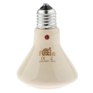 Lampe De Table Chauffante En Ceramique Pour Lezard A La Tortue De Reptile Ebay