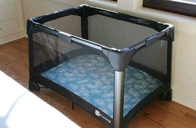 4moms playard accessories