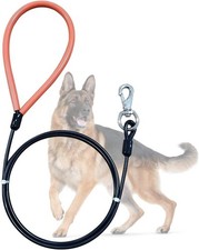 Heavy Duty Dog Leash, Chew Proof Metal Leash for Large Dogs Up 5 FT, Black