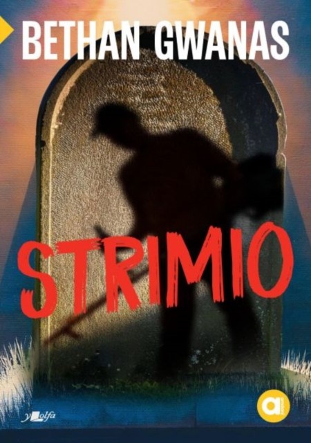 Cyfres Amdani: Strimio by Bethan Gwanas (Paperback Book)