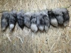 TOP ANGEBOT ECHTE SILBERFUCHS FUCHSSCHWÄNZE FUCHSSCHWANZ