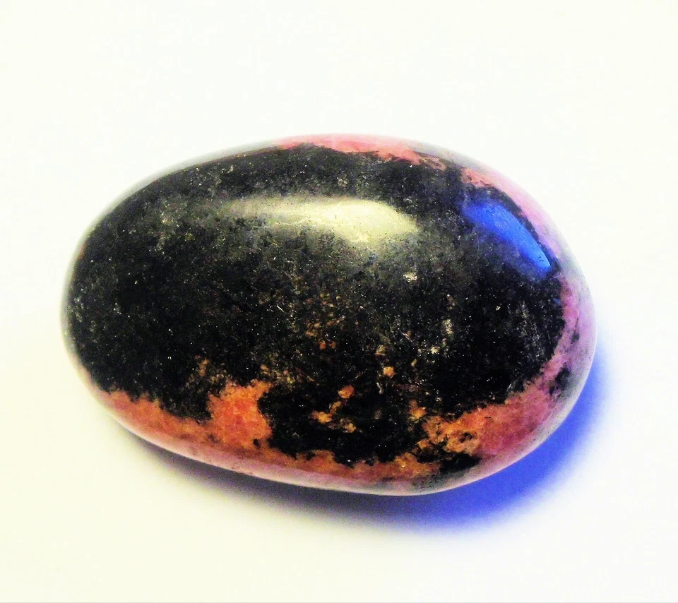 519 克拉抛光红石棕榈石 56 x 38 x 24 毫米 MADAGASCAR # 3 — 第 2/2 张图片