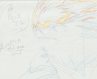 The Twelve Kingdoms Juuni Kokki Genga Douga Original Sketches Pierrot - Youko — photo 9