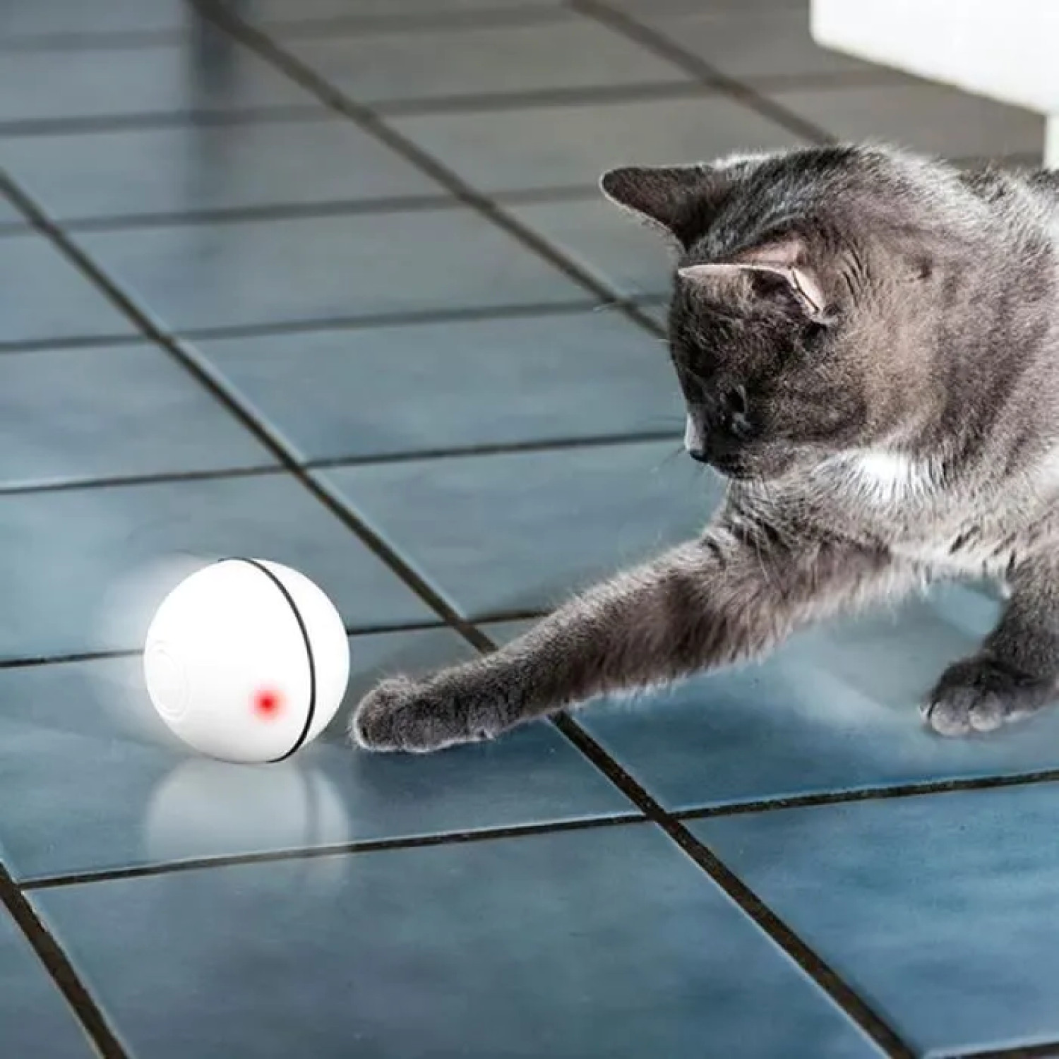 Balle chat interactive rotative 360 à batterie rechargeable USB blanche - 2