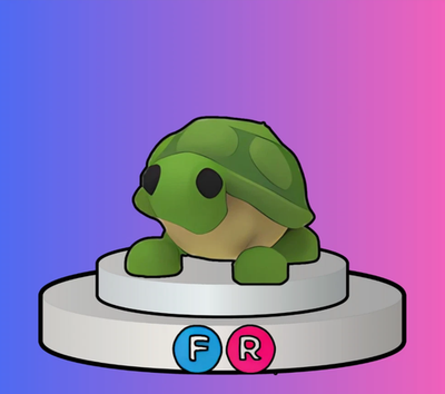 #ad Turtle Adopt right now $17.90