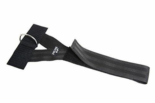 julius k9 front control belt with d ring