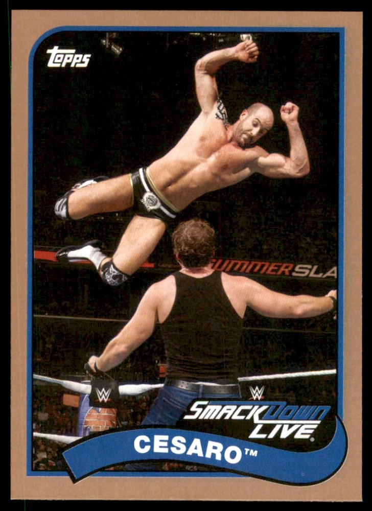 2018 Topps Heritage WWE Bronze #20 Cesaro