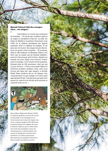 Revue GEO Edition Tintin c'est l'aventure, Hergé ami des bêtes Nº11 (2022) - Foto 4 di 9