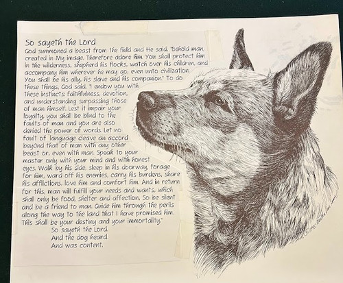 Australian Cattle Dog original pen and ink done for print 14 X17