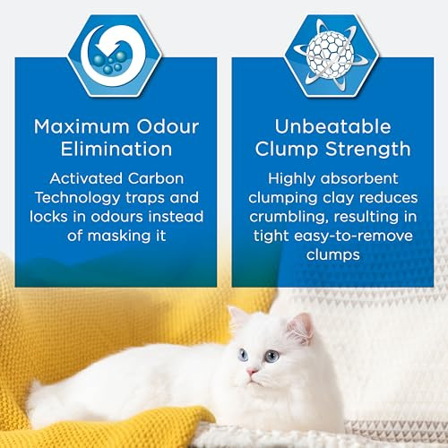 Ever Clean Clumping Cat Litter, Extra Strong Scented 20L - 第 4/5 張圖片
