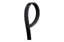 Serpentine Belt