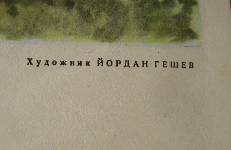 Picture 5 of 8