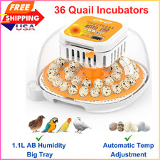 36 Quail Incubators For Hatching Eggs, Quail Egg Incubator With Humidity Control