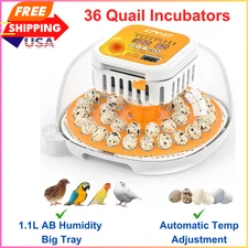36 Quail Incubators For Hatching Eggs, Quail Egg Incubator With Humidity Control