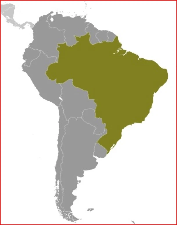 $2.70 Scott Value - 1984 BRAZIL Train Stations Architecture MNH NH UMM - Image 4 of 4