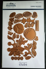 SPELLBINDERS Large Die of Month Club DOML-AUG23 Blooming Pomegranate