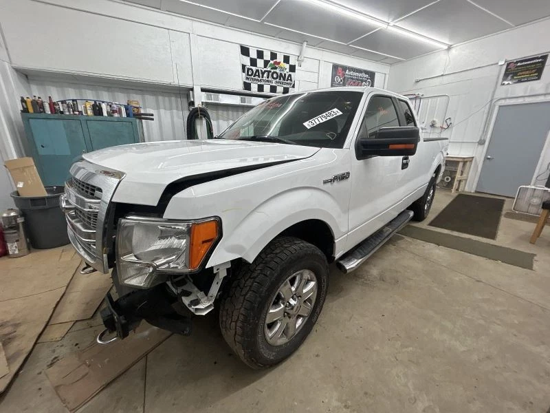 Faro halógeno para pasajero Ford F150 2009-2014 camioneta King Ranch Foto 3 de 4