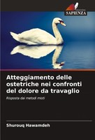 Atteggiamento Delle Ostetriche Nei Confronti Del Dolore Da Travaglio Shurouq Haw