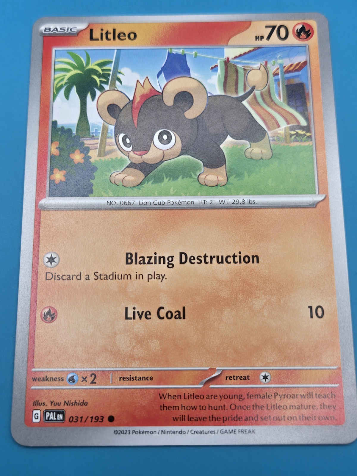 Litleo Paldea Evolved 031/193 Common Pokemon Regular NM