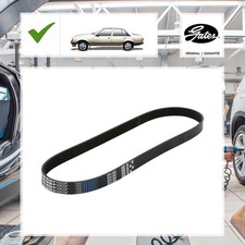 Keilrippenriemen Gates für Ford C-max II DXA/CB7, DXA/CEU 1.6 TDCi