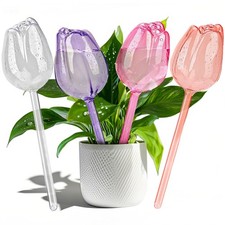 SAIRFWOO 4 Pcs Self Watering Globes Bulbs Transparent，Pink，Champagne，Purple 