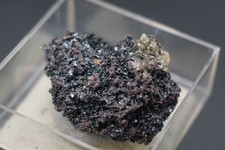 Hämatit, Apatit | FO: Jumilla, Spanien | Micromount Systematik #n191