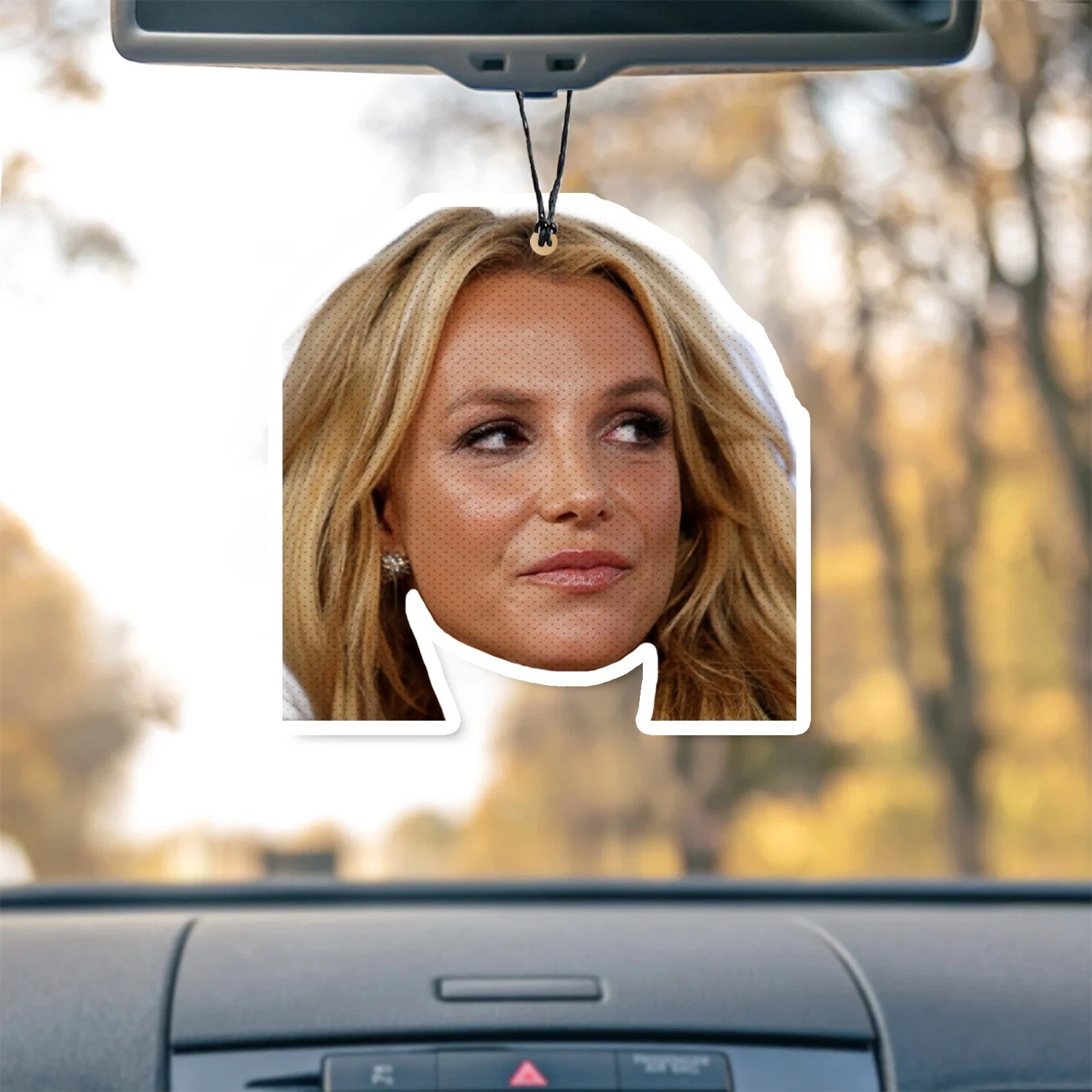 Britney Spears Unscented Hanging Car Air Freshener Freshie