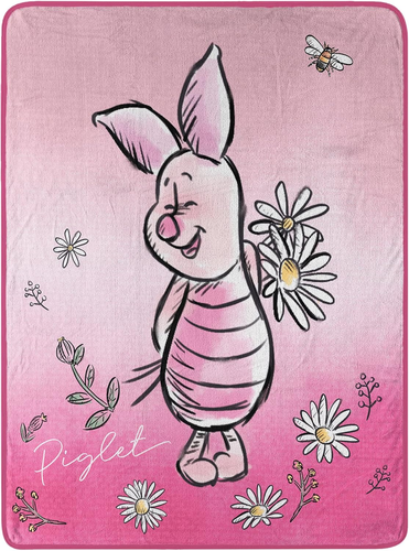 Pokemon Micro Raschel Überwurfdecke – 116,8 X 152,4 Cm, Char Dance Motiv, 100% Polyester