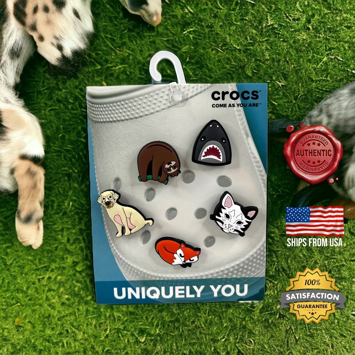  Crocs Jibbitz Pet Shoe Charms Jibbitz for Crocs, Cat, Small :  Clothing, Shoes & Jewelry