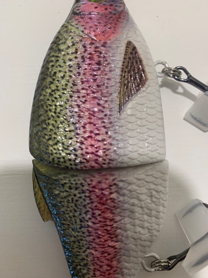 TYG Rainbow trout Glide bait custom 7 inch swimbait Rainbow meal eBay
