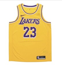 Nike Los Angeles Lakers LeBron James Icon Swingman Jersey Size Large AA7099 741