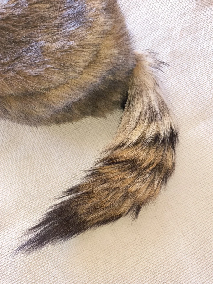 Gorra REAL COYOTE TAIL - Hecha a mano nueva con etiquetas - Grande - Oscura Foto 2 de 3