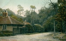 Addington Croydon Surrey Rural Cottage Batchelder Postcard 1908