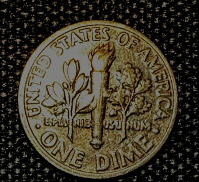1989- P Roosevelt Dime - Extra Olive Leaf Error - 2.32 G | eBay