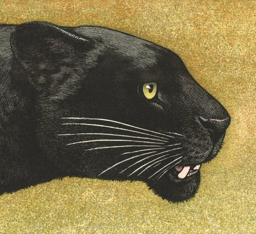 Toshi Yoshida Woodblock Print "Black Panther" Signed New Unused from Japan - Picture 10 of 10