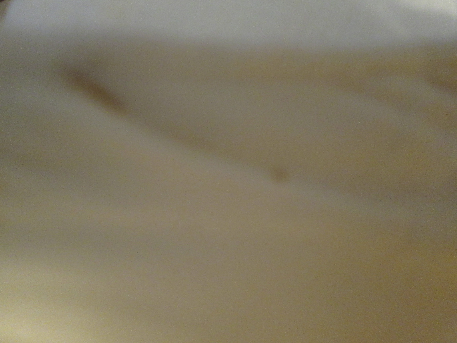 Picture 11 of 12