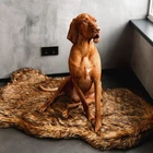 Plush Faux Fur Orthopedic Dog Bed with Memory Foam - Waterproof & Washable 50"x3