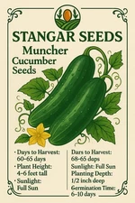Muncher Cucumber Variety Heirloom 2026 Usa Fast Growing
